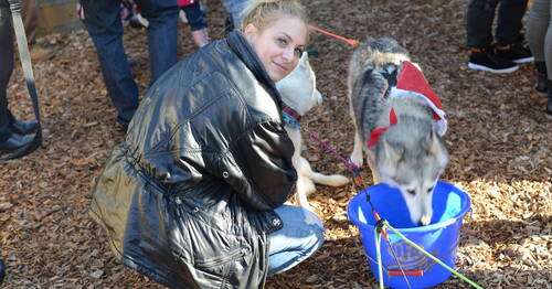 Description de l'image